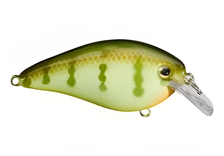 Strike King KVD Squarebill 1.5