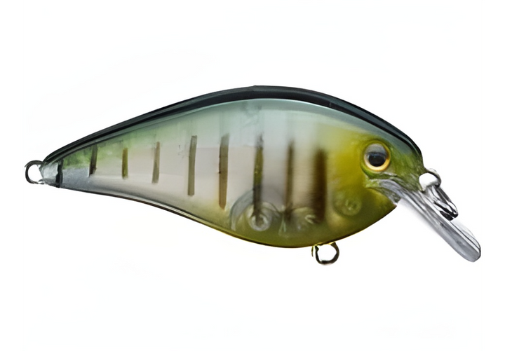 Strike King KVD Squarebill 2.5