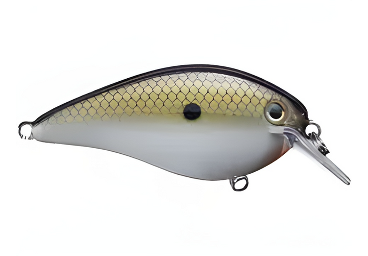Strike King KVD Squarebill 2.5