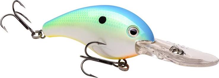 Strike King Pro Model 10XD Crankbait, 6"
