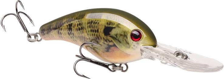 Strike King Pro Model 10XD Crankbait, 6"