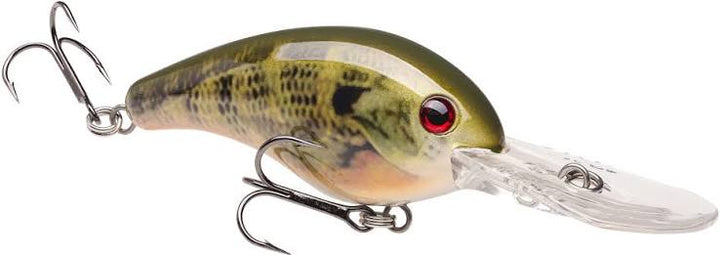 Strike King Pro Model 10XD Crankbait, 6"