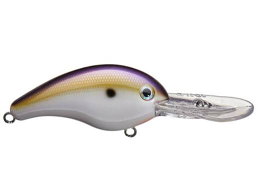 Strike King Pro Model 10XD Crankbait, 6"