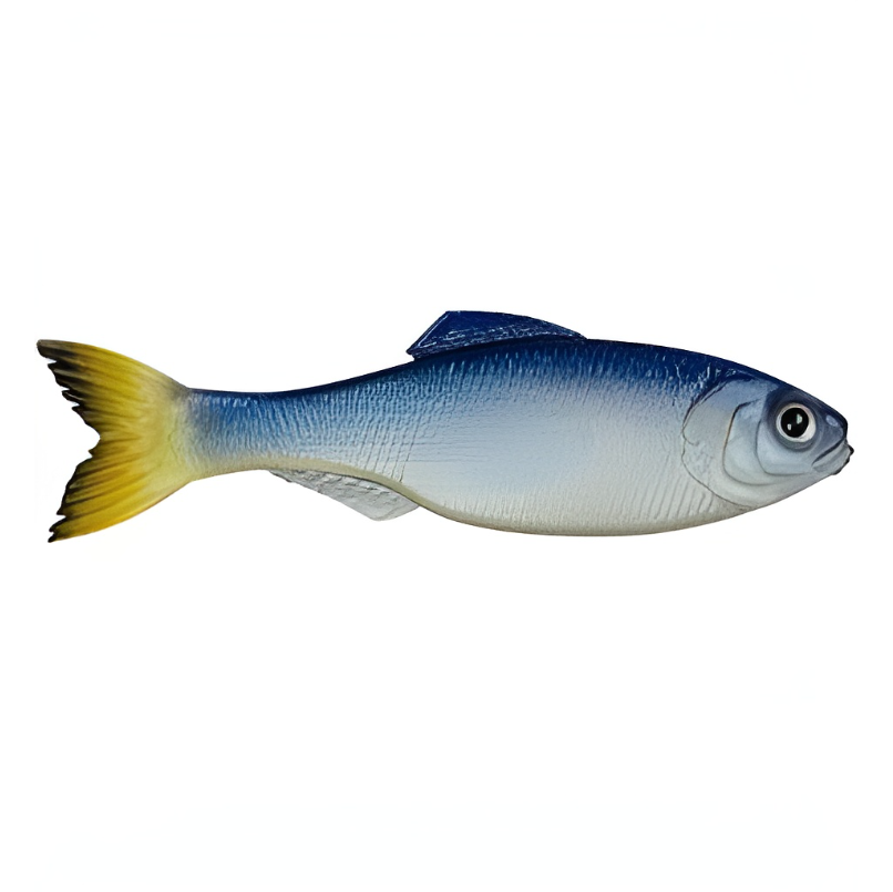 6th Sense Panorama 5.0