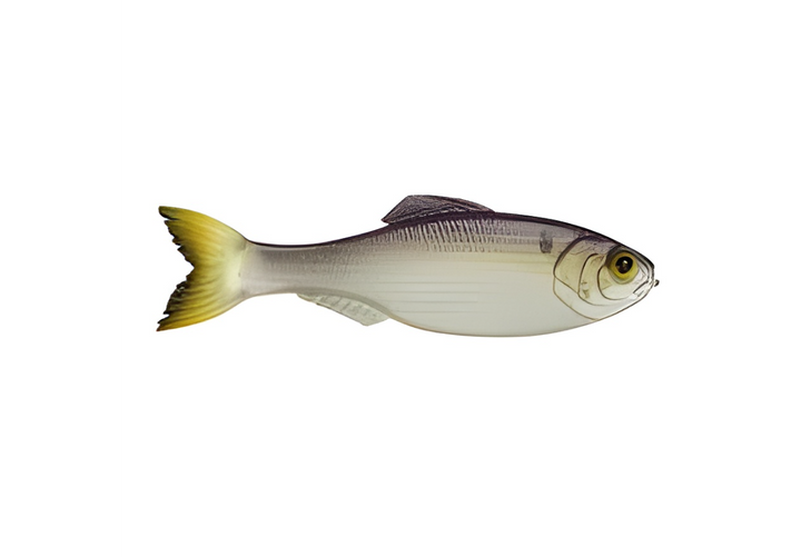 6th Sense Panorama 6.5