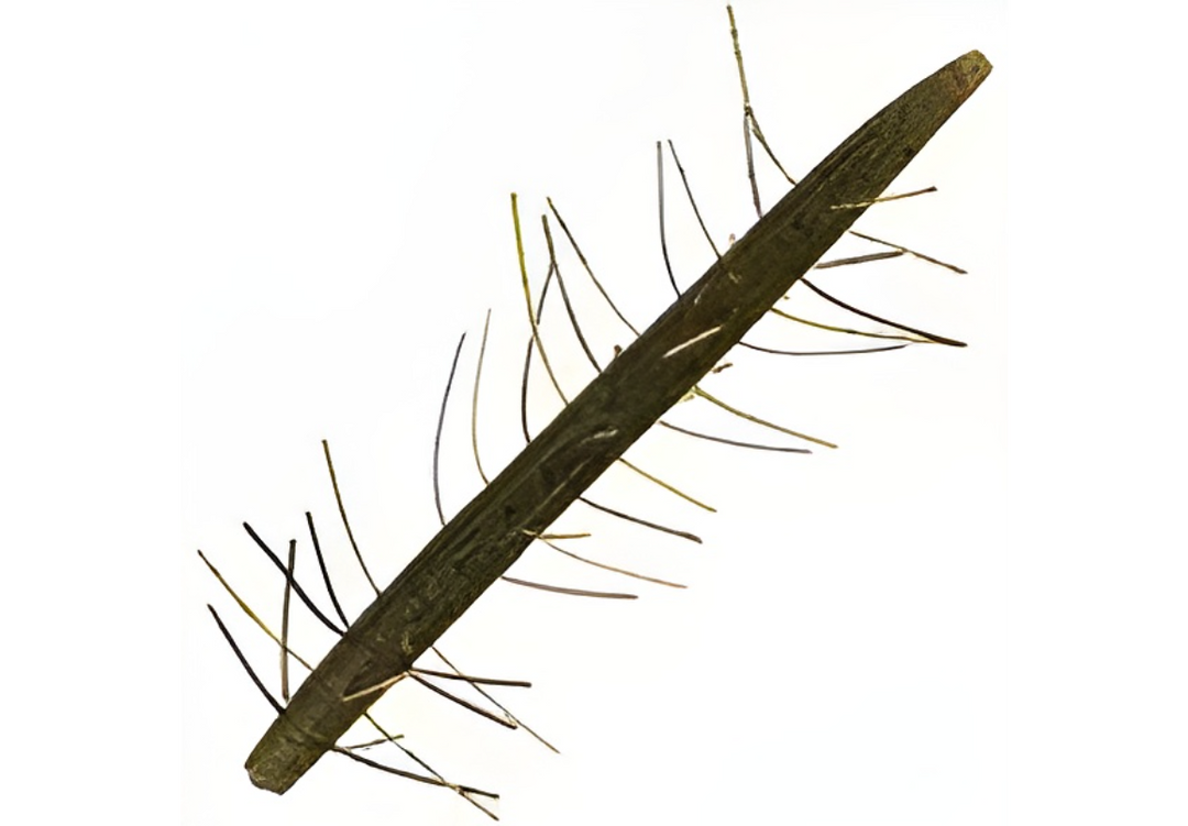 Yamamoto 5" Fuzzy Senko
