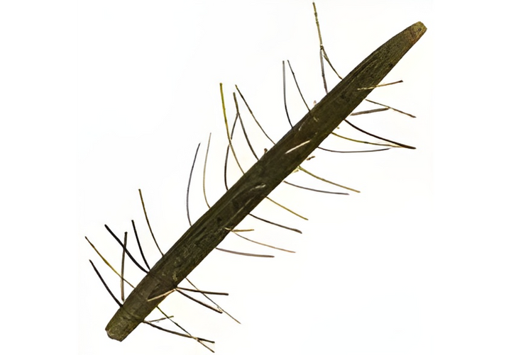Yamamoto 5" Fuzzy Senko