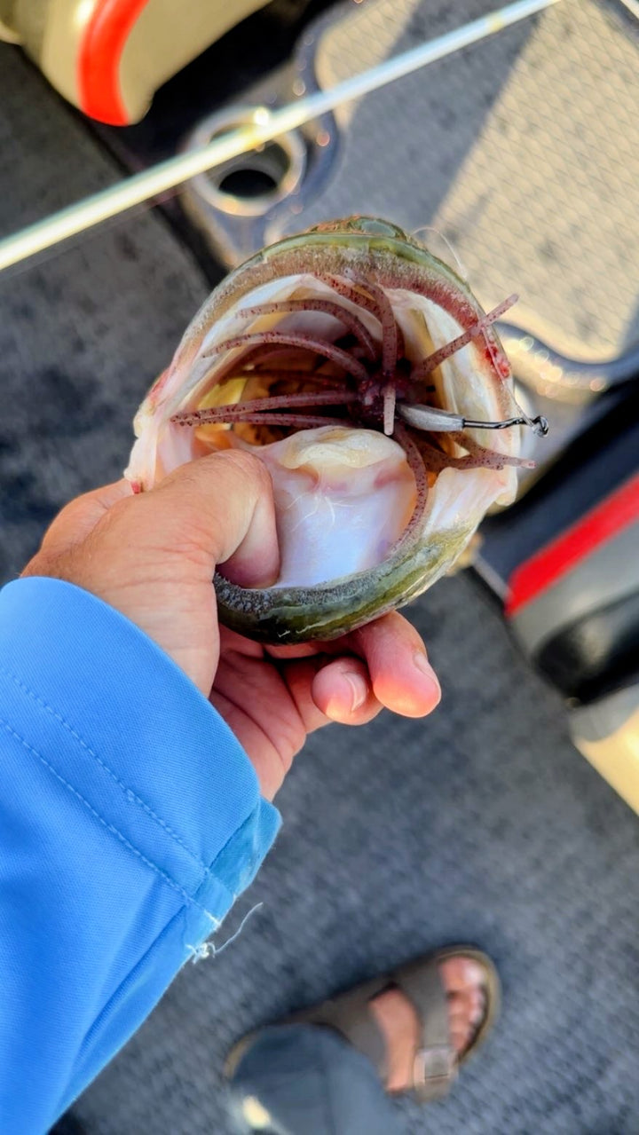 Quivara™ 110mm Urchin Style Soft Plastic Finesse Bait, (4.33")