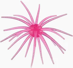 Hags Baits Prickly Pear - 19mm