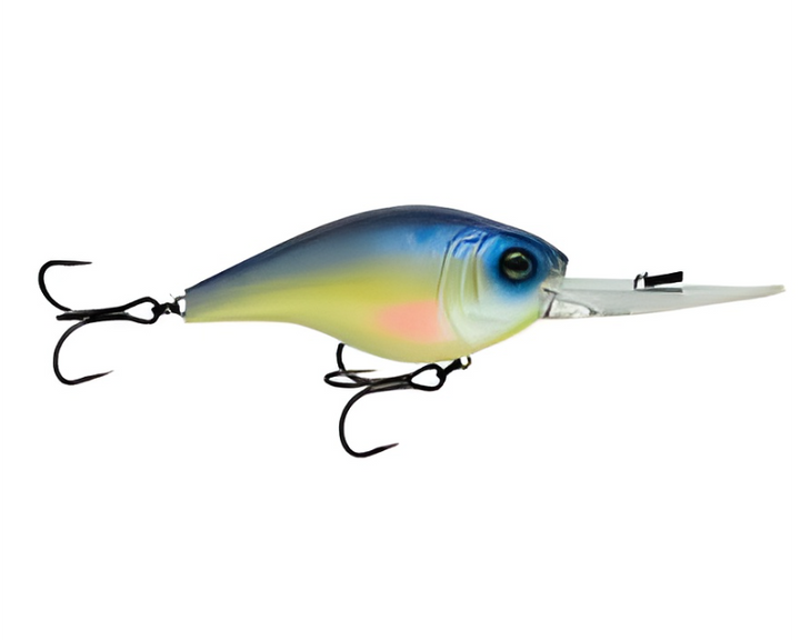 6th Sense Cloud 9 Series C15