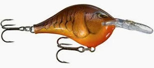 Rapala DT-6 Crankbait