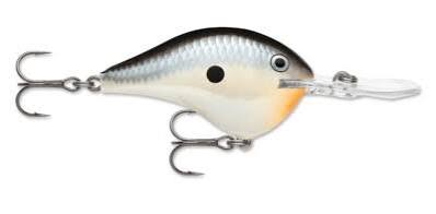 Rapala DT-6 Crankbait