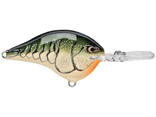 Rapala DT-6 Crankbait