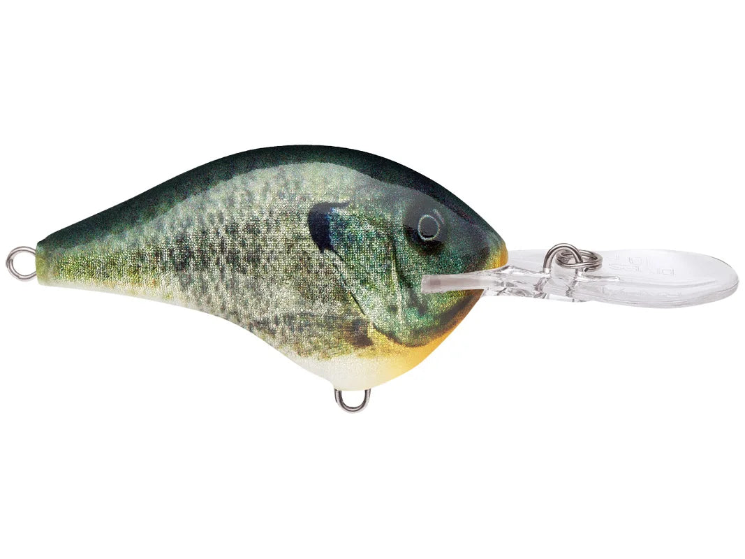 Rapala DT-6 Crankbait