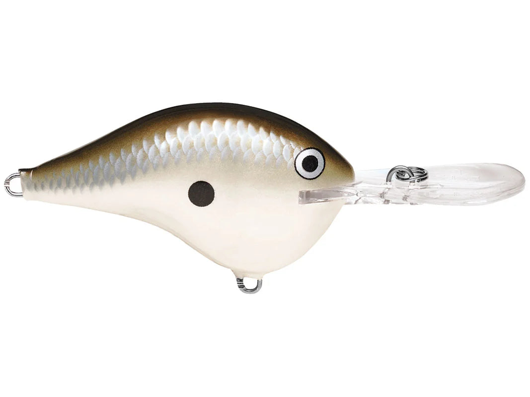 Rapala DT-10 Crankbait