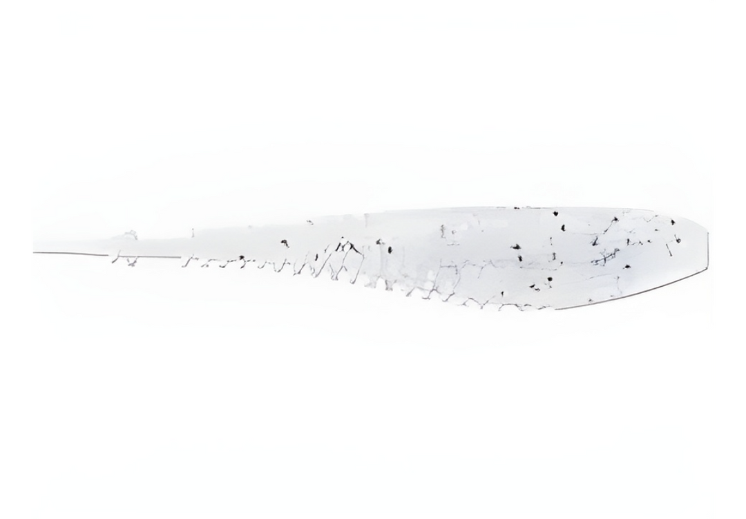 Rapala Crush City Freeloader 4.25" Minnow