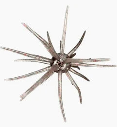 Hags Baits Prickly Pear - 9.9mm