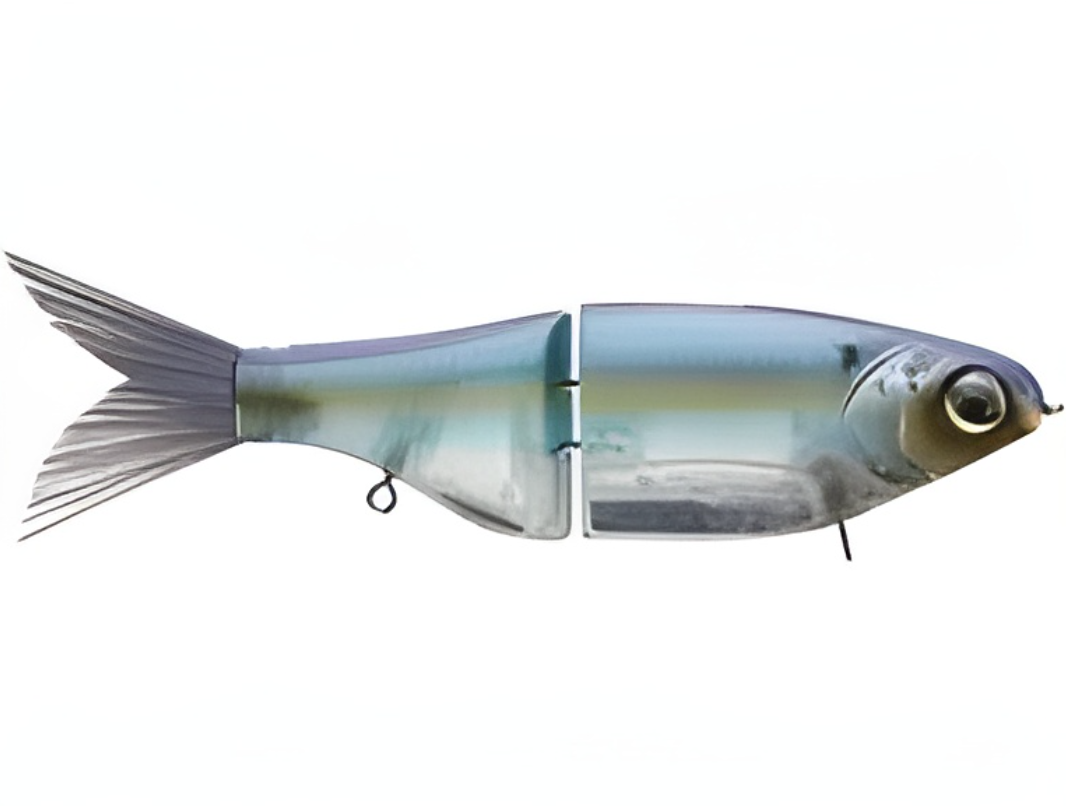 SPRO KGB Chad Shad