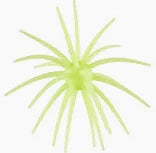 Hags Baits Prickly Pear - 19mm