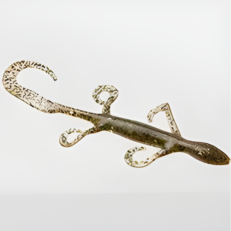 Zoom 6" Lizard