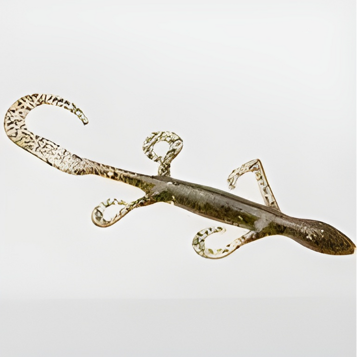 Zoom 6" Lizard