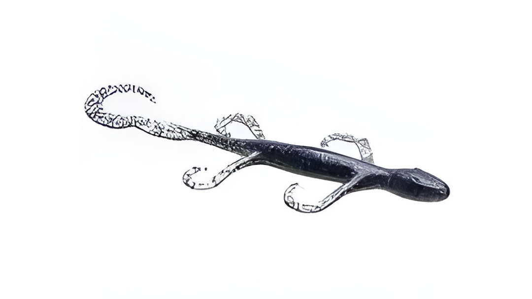 Zoom 6" Lizard