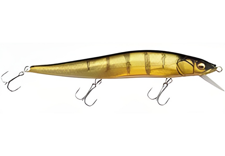 MegaBass Vision Oneten