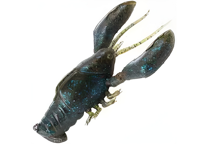 MEGABASS Sleeper Craw Bait, 3", 5/8oz