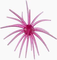 Hags Baits Prickly Pear - 9.9mm