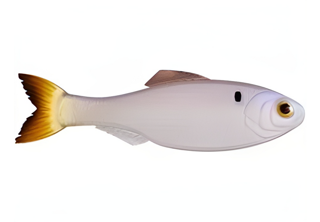 6th Sense Panorama 5.0