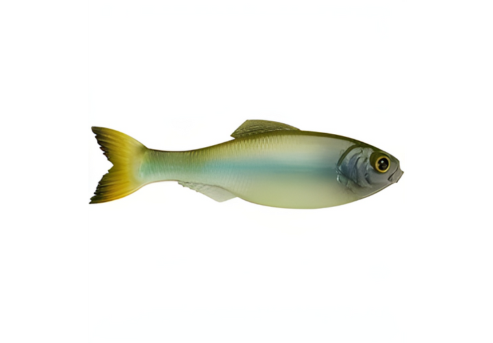 6th Sense Panorama 3.5