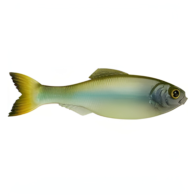 6th Sense Panorama 5.0