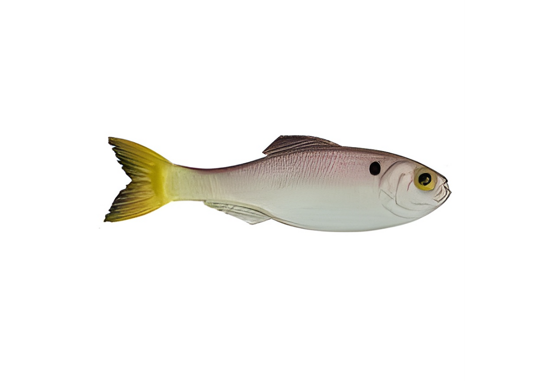 6th Sense Panorama 2.8