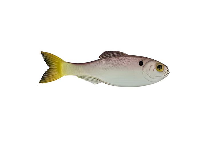 6th Sense Panorama 2.8