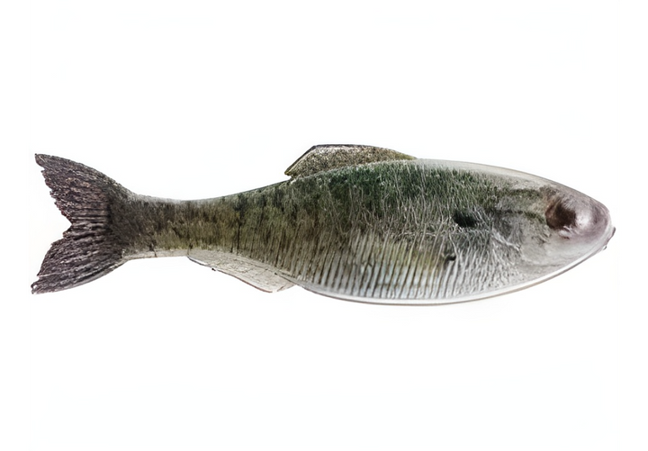 6th Sense Panorama 5.0