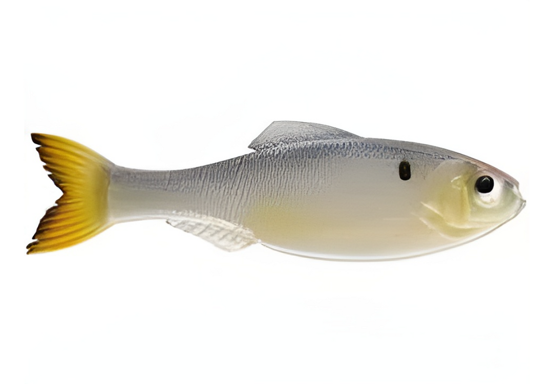 6th Sense Panorama 5.0