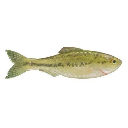6Th Sense Plump Panorama - 5.0, Live Baby Bass, Swimbait
