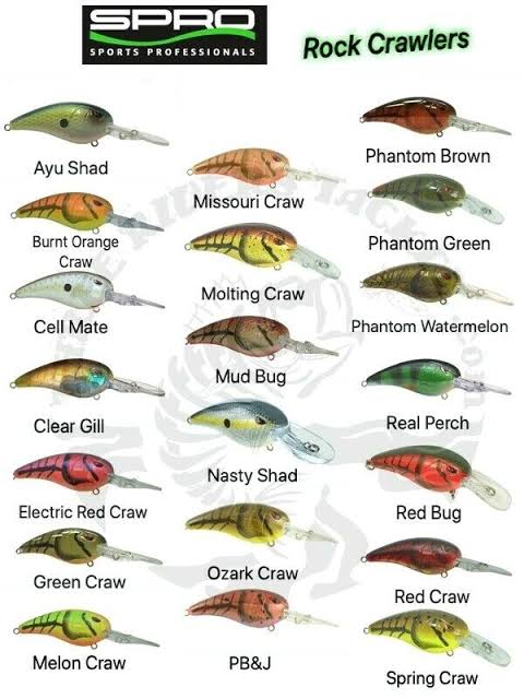Spro Rock Crawler 50 Crankbait