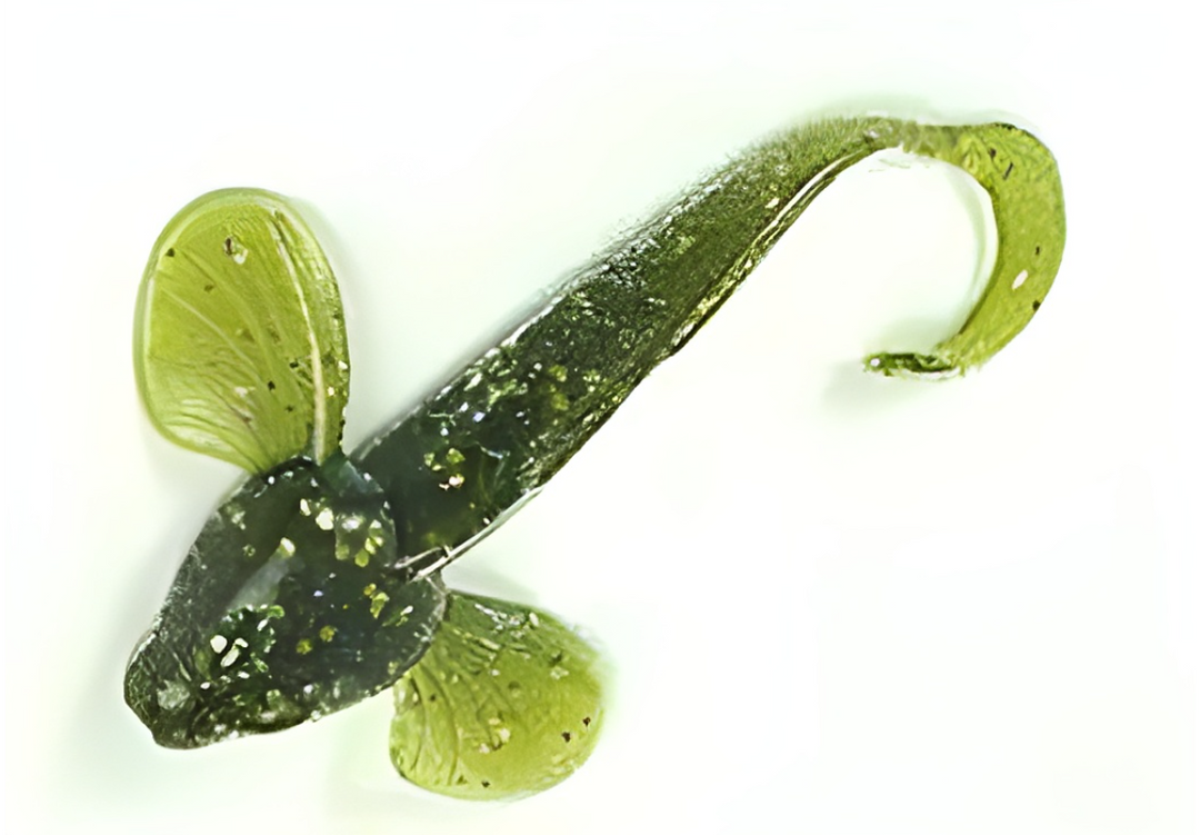 Jewel Sculpin - 4"