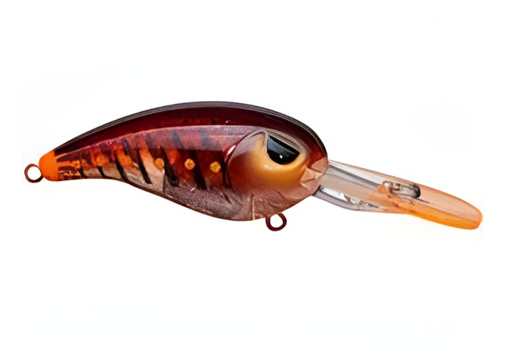 SPRO RkCrawler 55