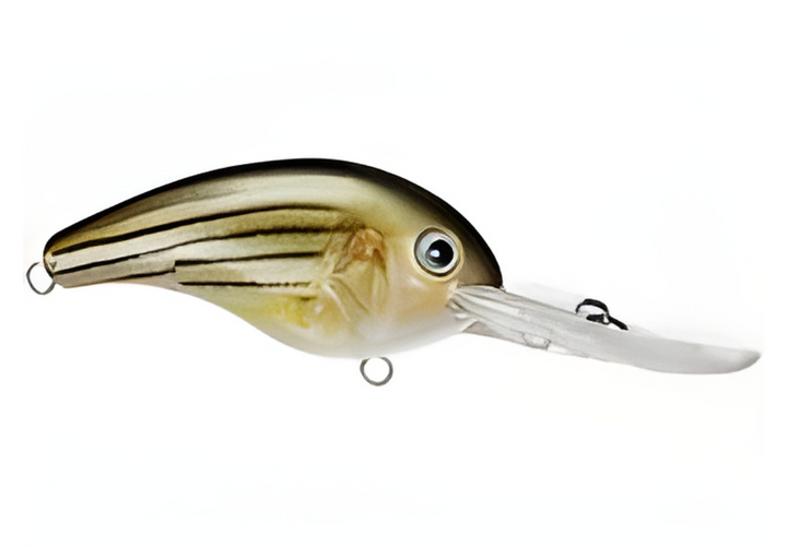 Strike King Pro Model 10XD Crankbait, 6"