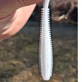 Pond Pro The REEL Swim Shady