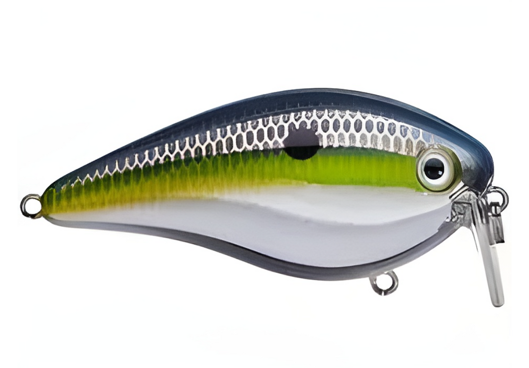 Strike King KVD 2.5 Wake Bait