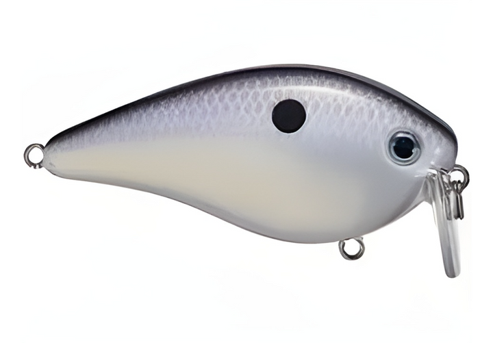Strike King KVD 2.5 Wake Bait
