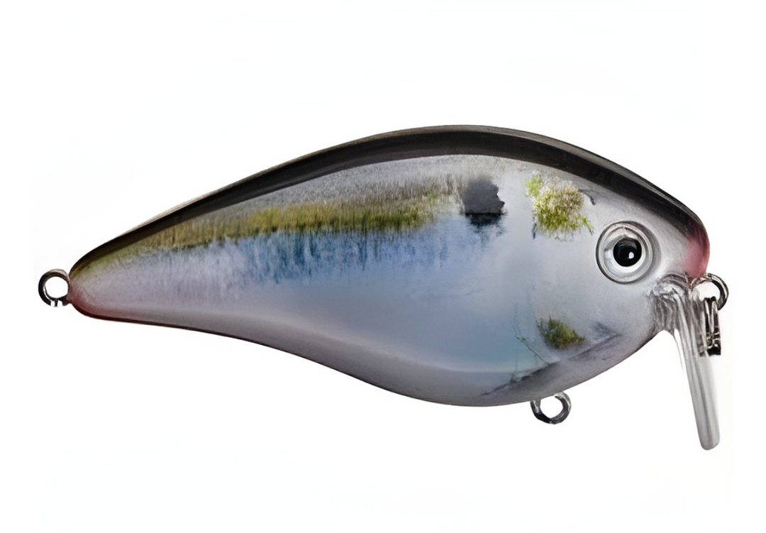 Strike King KVD 2.5 Wake Bait