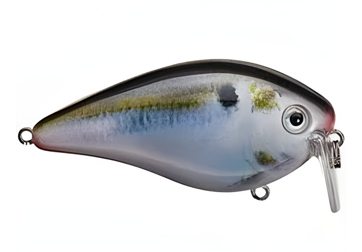 Strike King KVD 2.5 Wake Bait