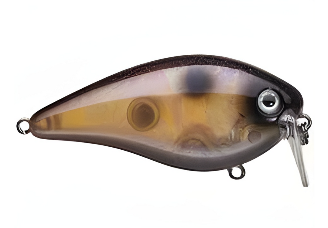 Strike King KVD 2.5 Wake Bait
