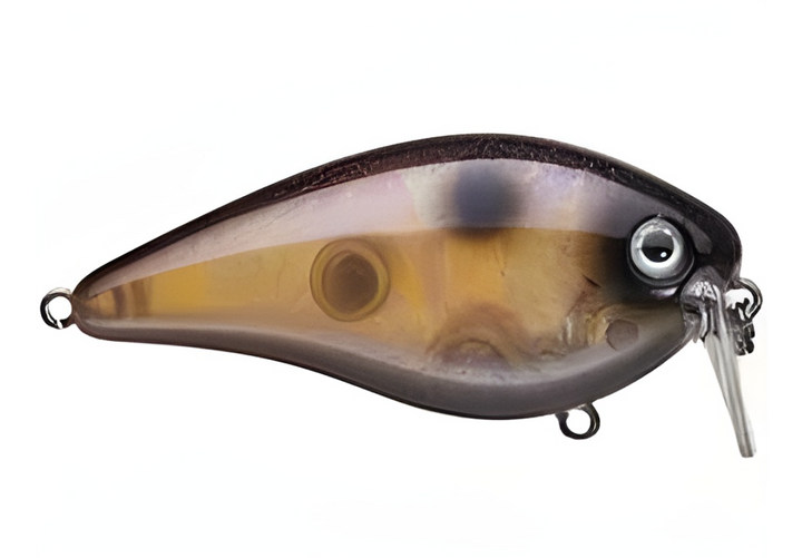 Strike King KVD 2.5 Wake Bait