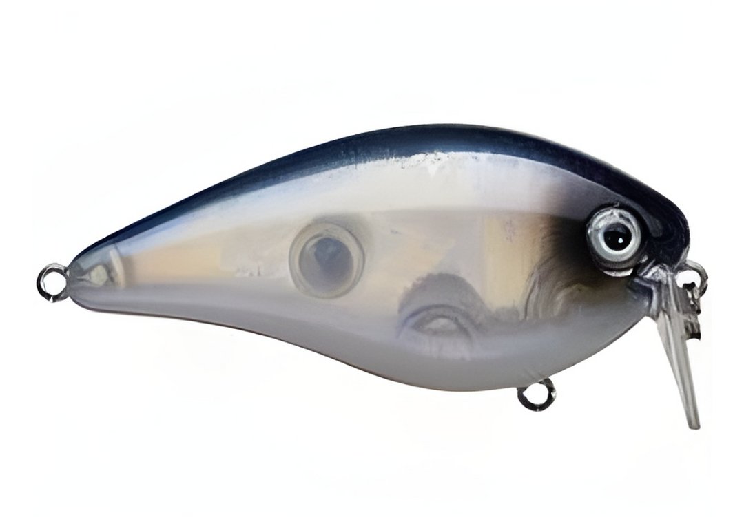 Strike King KVD 2.5 Wake Bait