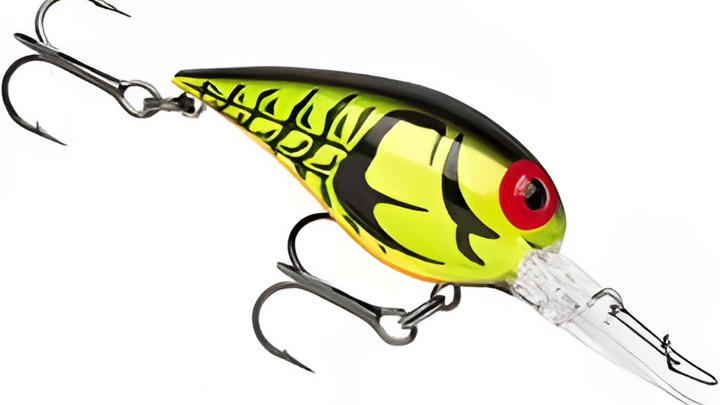 Storm Wiggle Wart
